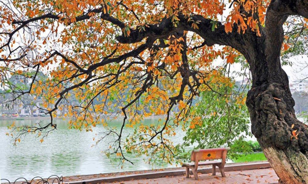 hanoi-autumn-food-guide